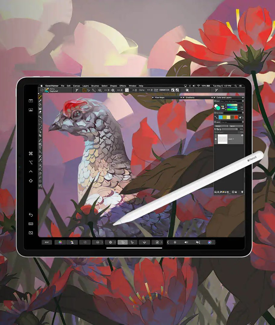 Corel Painter 2023 - descargar