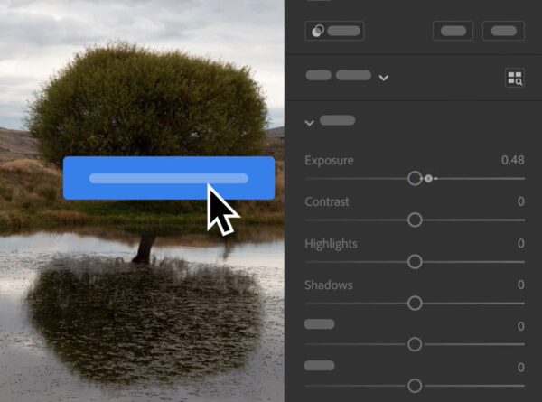 Adobe Lightroom Pro - Licencia Teams - Anual - Imagen 3