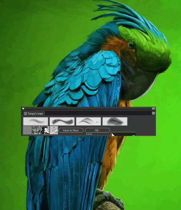 Corel Painter – Actualización - Imagen 3