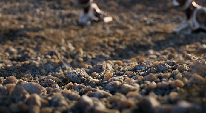 V-Ray Novedades