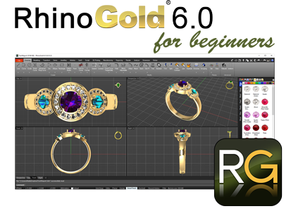 RhinoGold 6.0 for beginners