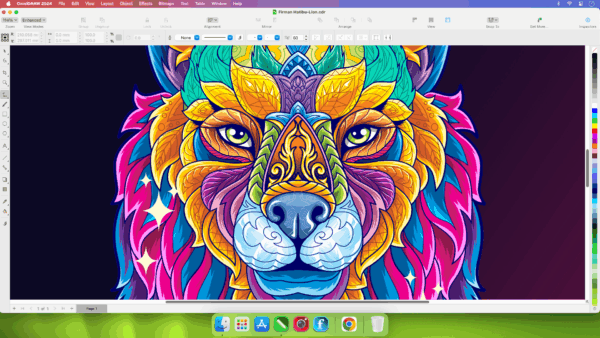 CorelDRAW Graphics Suite 2025 - Anual - Imagen 4