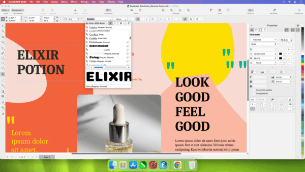 CorelDRAW Graphics Suite 2025 - Anual - Imagen 5