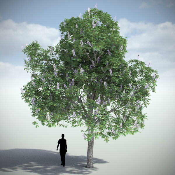 Vizpark Real Trees I para Rhino - Imagen 6