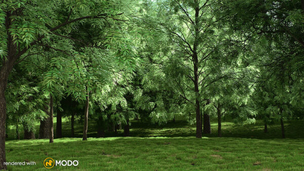 Vizpark Real Trees I para Rhino - Imagen 2