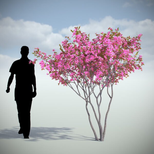 Vizpark Real Trees I para Rhino - Imagen 7