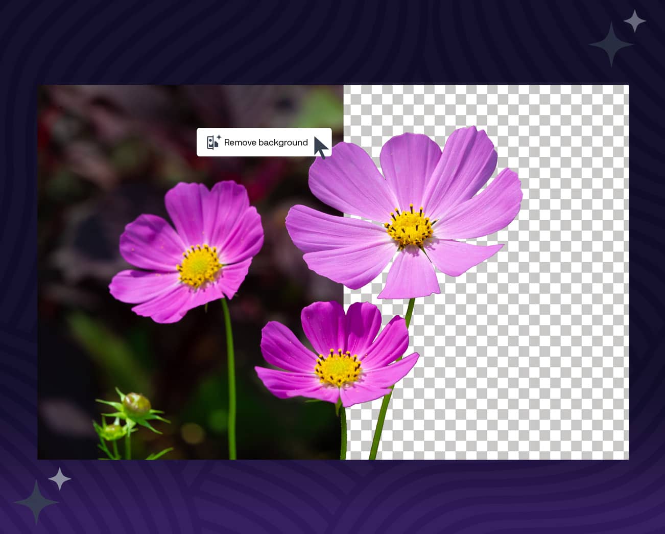 Elimine fondos con IA CorelDraw Graphics Suite